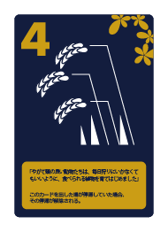 card4